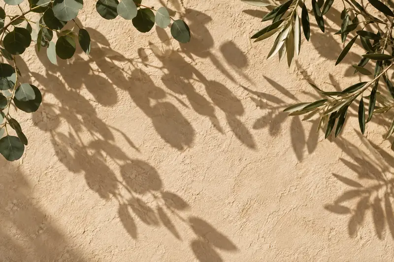Eucalyptus shadows on a clay plaster wall